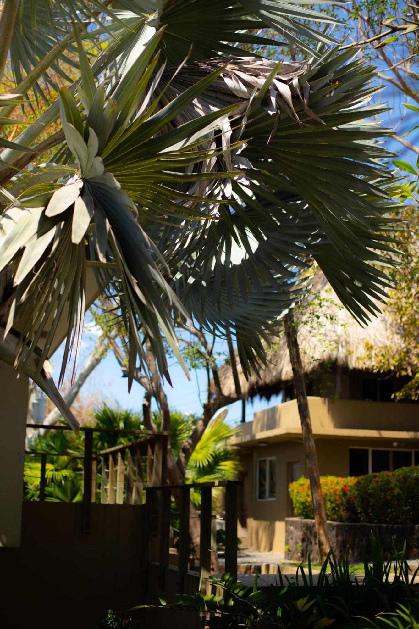Casa De Mar Hotel And Villas ลาลิแบร์ตัด ภายนอก รูปภาพ
