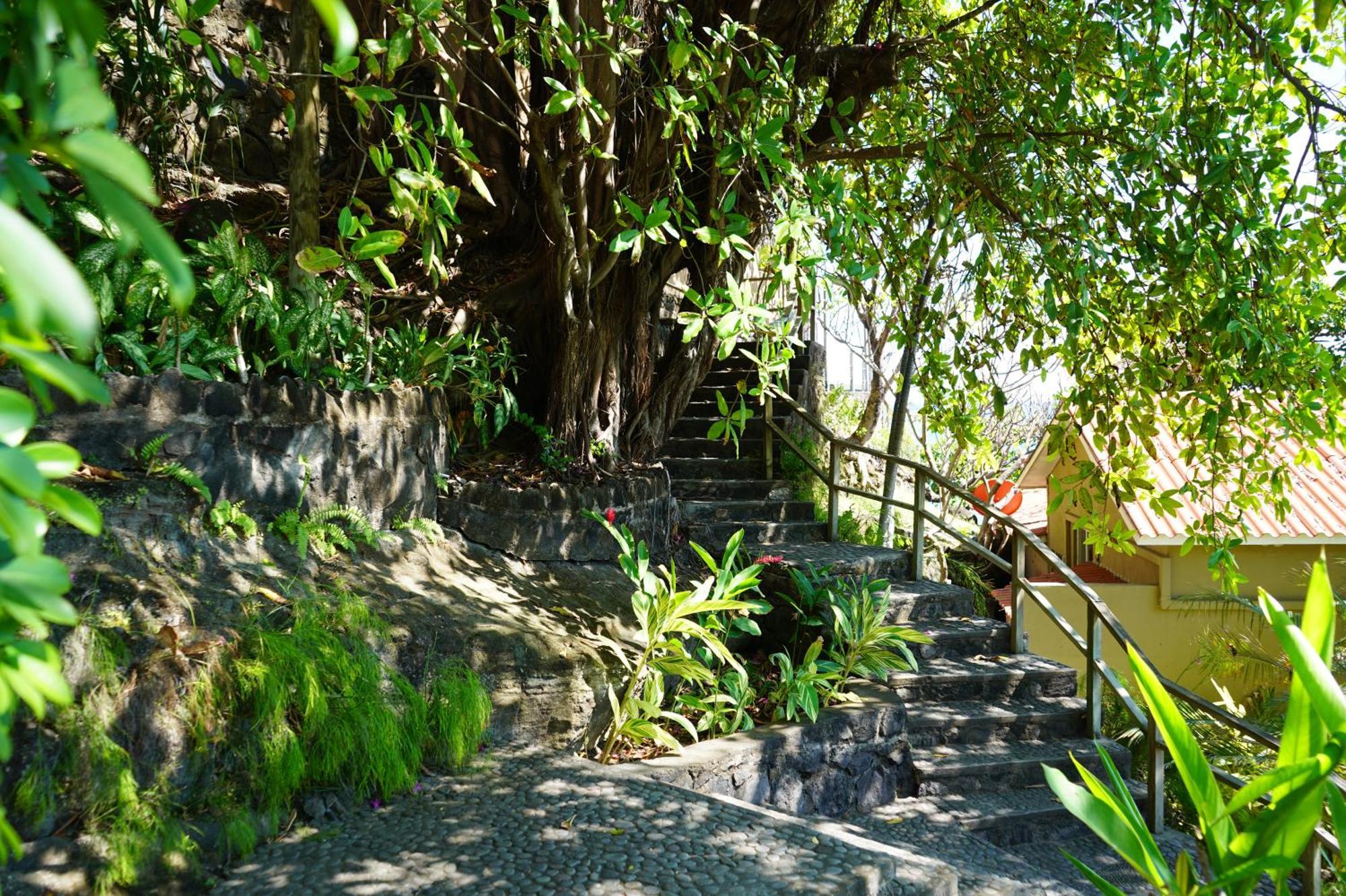 Casa De Mar Hotel And Villas ลาลิแบร์ตัด ภายนอก รูปภาพ